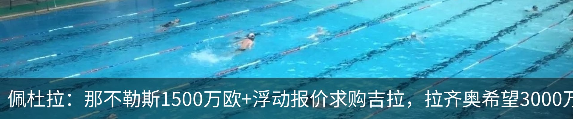新闻动态